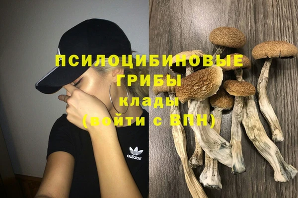 a pvp Абинск